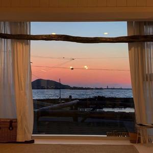 五月天激情网站
