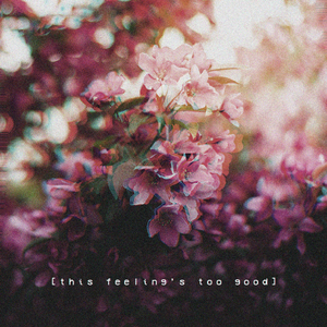 五月天激情网站
